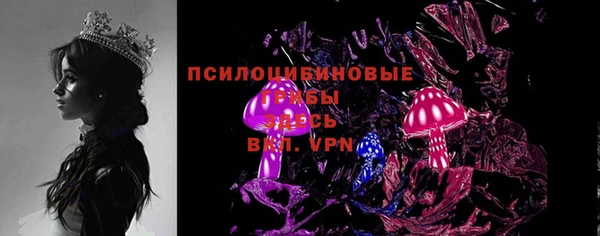 крисы Армянск