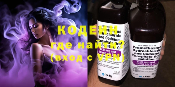 крисы Армянск
