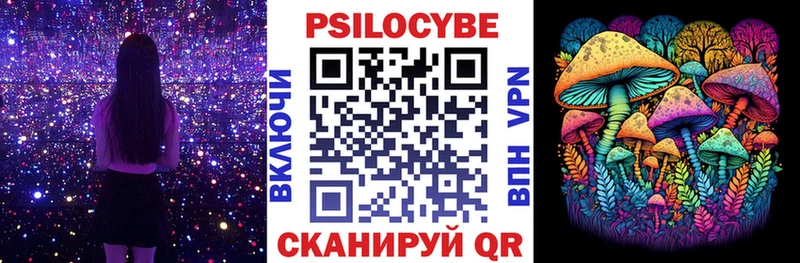 Псилоцибиновые грибы Cubensis  Краснослободск 